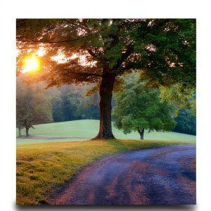 Faith Deconstruction eBook by Insighting Growth 167 Page Kindle-0