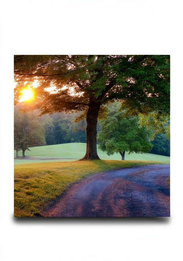 Faith Deconstruction eBook by Insighting Growth 167 Page Kindle-0